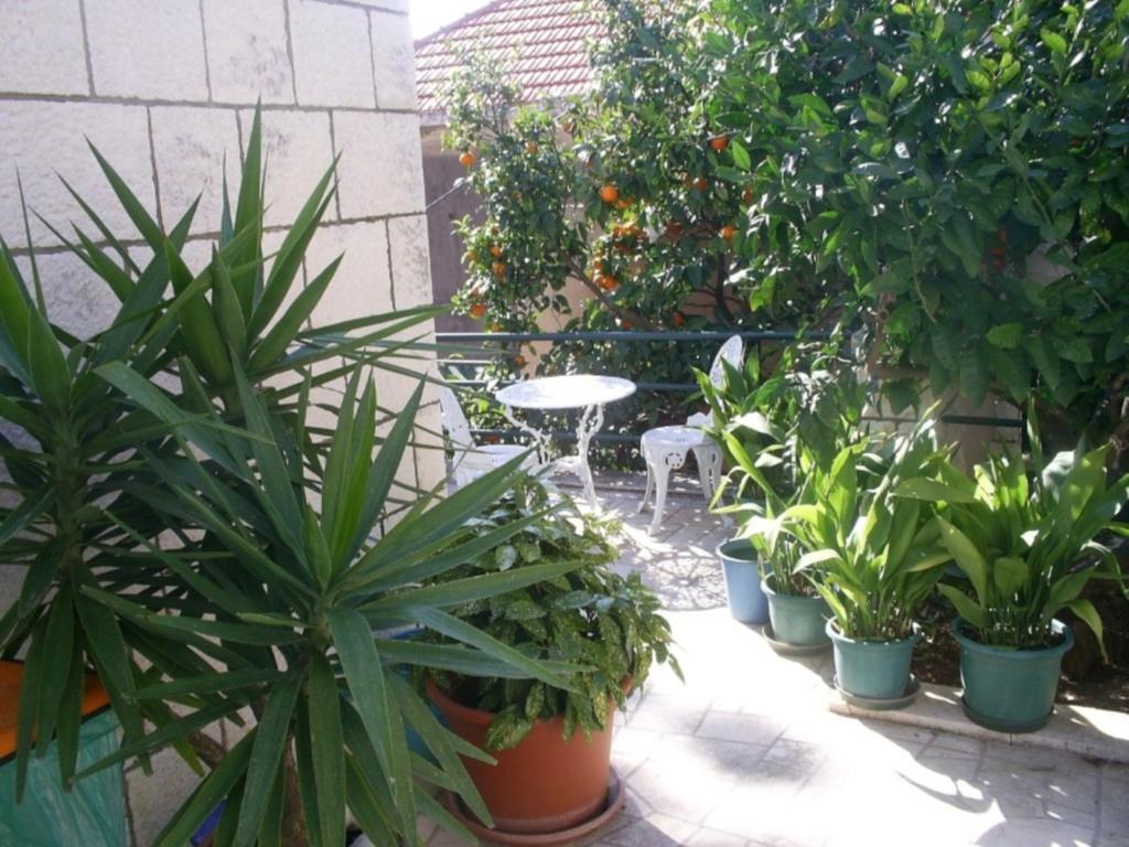 Dubrovnik Sea View Apartment المظهر الخارجي الصورة