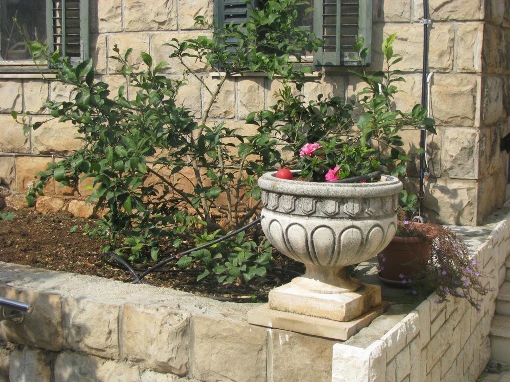 Dubrovnik Sea View Apartment المظهر الخارجي الصورة